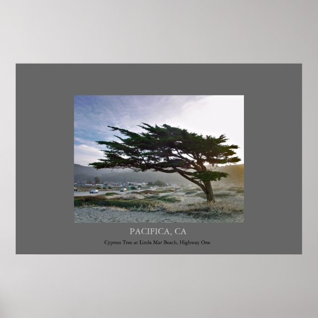 Linda Mar Cypress Poster (Framsidan)