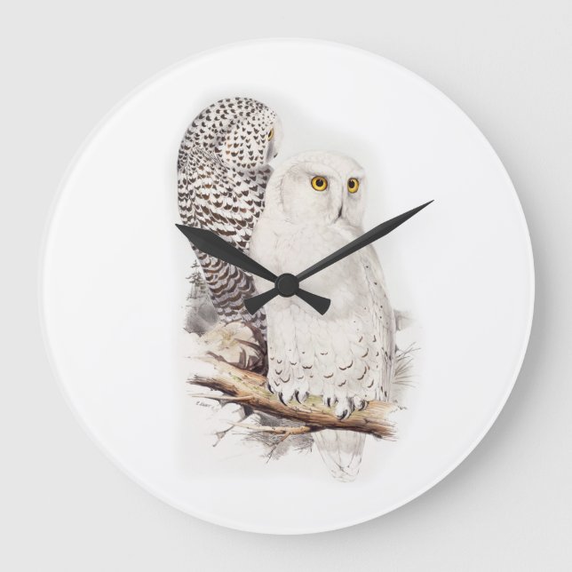 Lindas corujas brancas na neve (snowy owls) stor klocka (Framsida)
