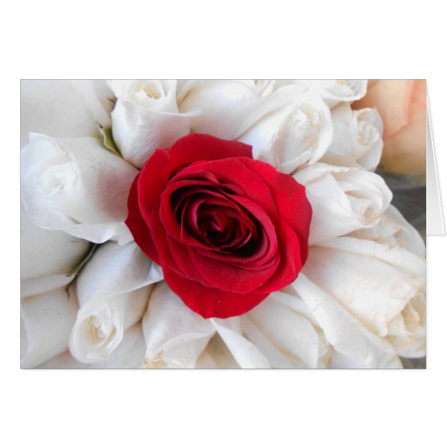 Lindegren Hälsningskort (Framsidan Horizontal)