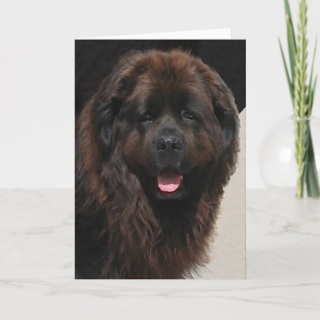 Linderhofen Newfie Kort (Framsida)