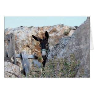 Lindos Donkey Hälsningskort