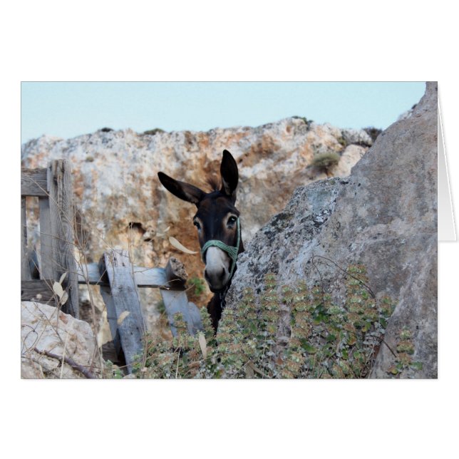 Lindos Donkey Hälsningskort (Framsidan Horizontal)