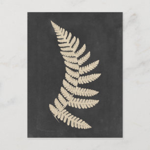 Linen Fern Vykort