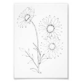 Lines & Petals Fototryck