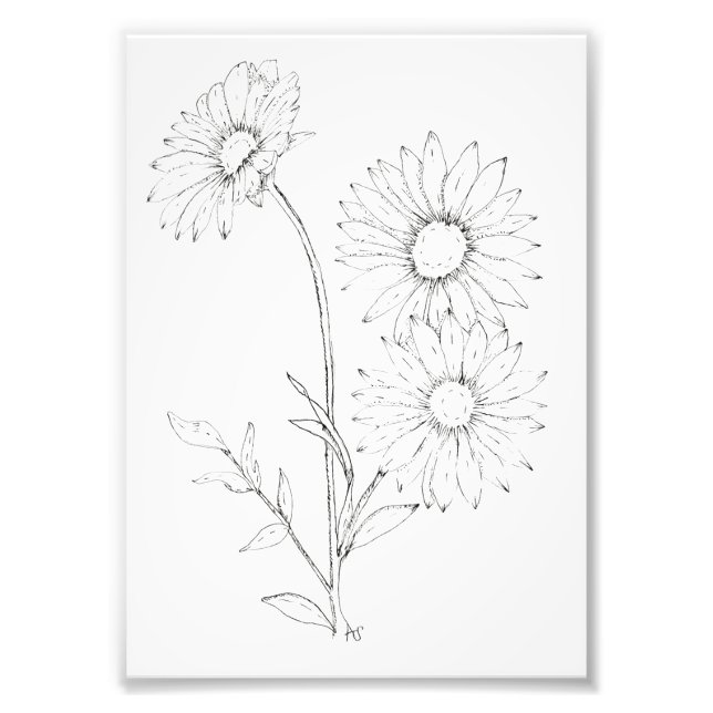 Lines & Petals Fototryck (Framsidan)