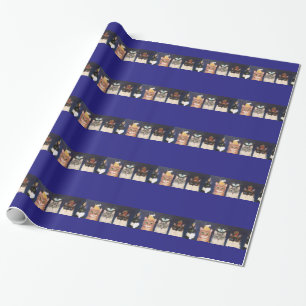 Lineup av katter presentpapper