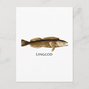 Lingtorsk, Logotyp Vykort