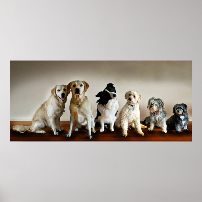 Linje uppåt poster (Framsidan)