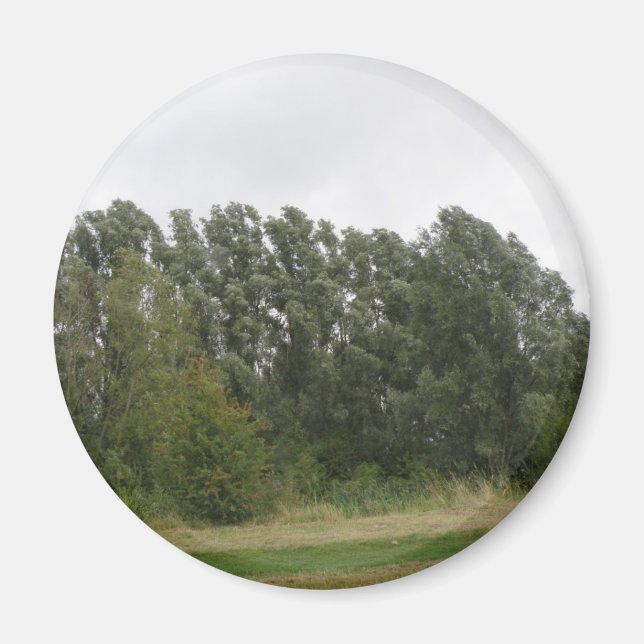Linjen av Träd liggande magnet (Framsidan)