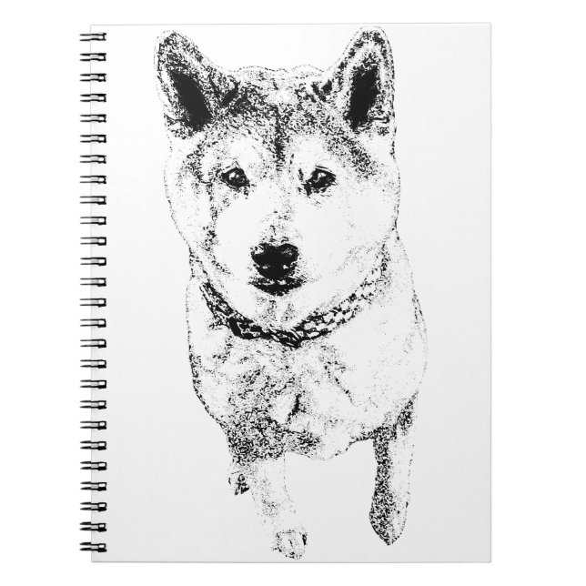 Linjer Anteckningsbok (Framsidan)