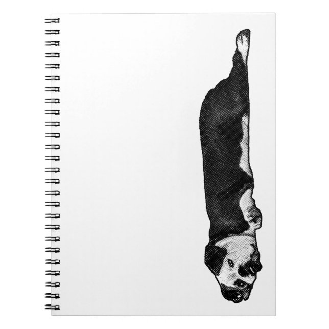 Linjer & Lazy Thoughts Anteckningsbok (Framsidan)