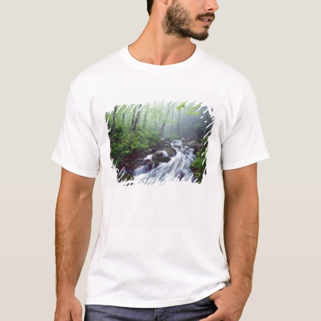 Linn Cove Bäck kaskadda genom foggy T Shirt (Framsida)