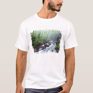 Linn Cove Creek forsande genom dimmig T Shirt