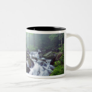 Linn Cove Creek forsande genom dimmig Två-Tonad Mugg