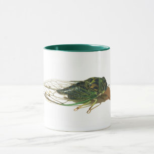 Linne's Cicada (Neotibicen linnei) Årlig Mugg