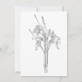 Linsketch daffodils bouquet. meddelande