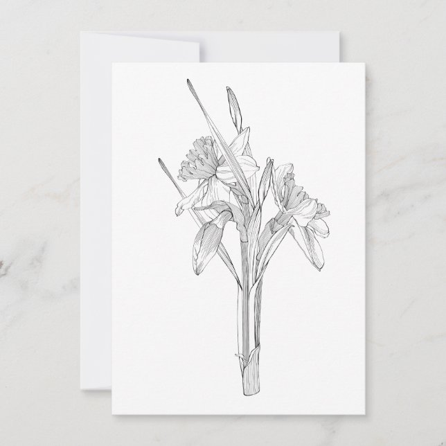 Linsketch daffodils bouquet. meddelande (Framsida)