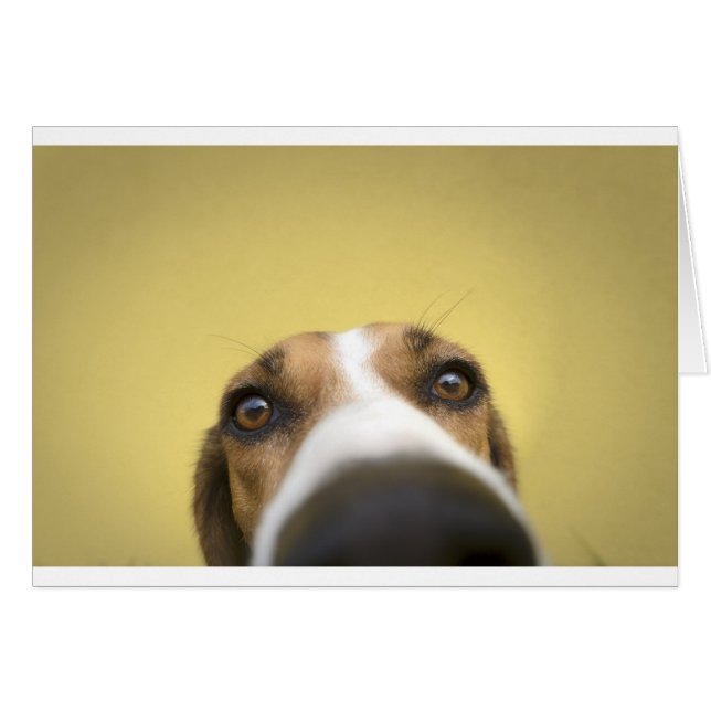 linsrengöringsmedel hälsningskort (Framsidan Horizontal)