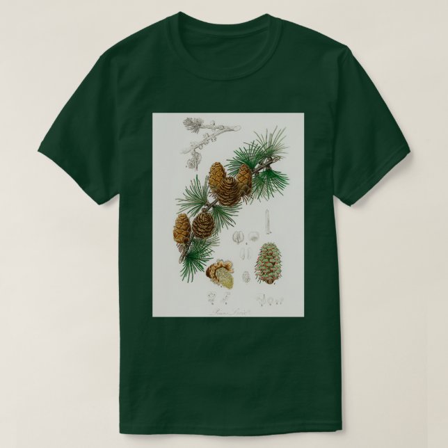 Linus larix illustration från Mediccal Botany 1836 T Shirt (Design framsida)