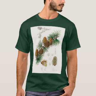 Linus larix illustration från Mediccal Botany 1836 T Shirt