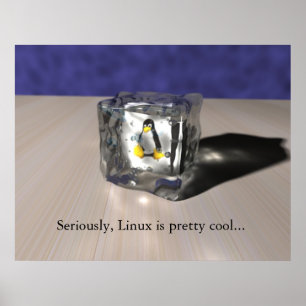Linux är Coola Poster
