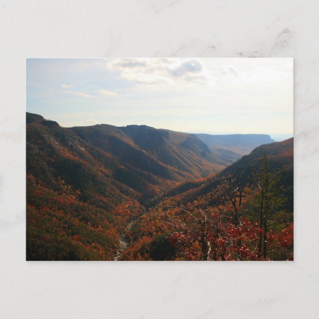 Linville Gorge i Autumn, North Carolina Vykort (Framsida)