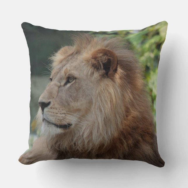 Lion 035 kudde (Framsida)