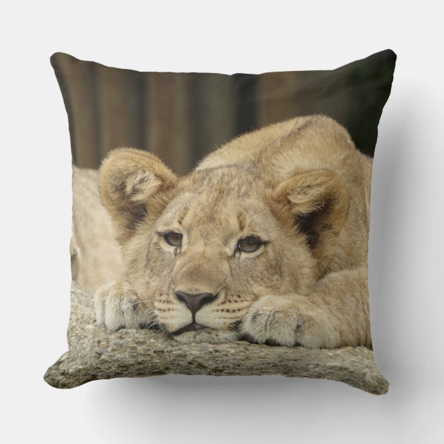 Lion 040 kudde (Framsida)