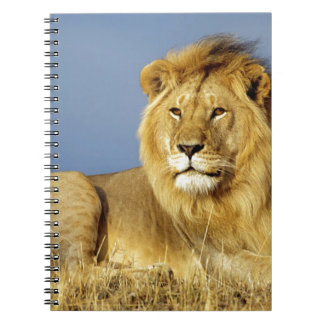 Lion Anteckningsbok