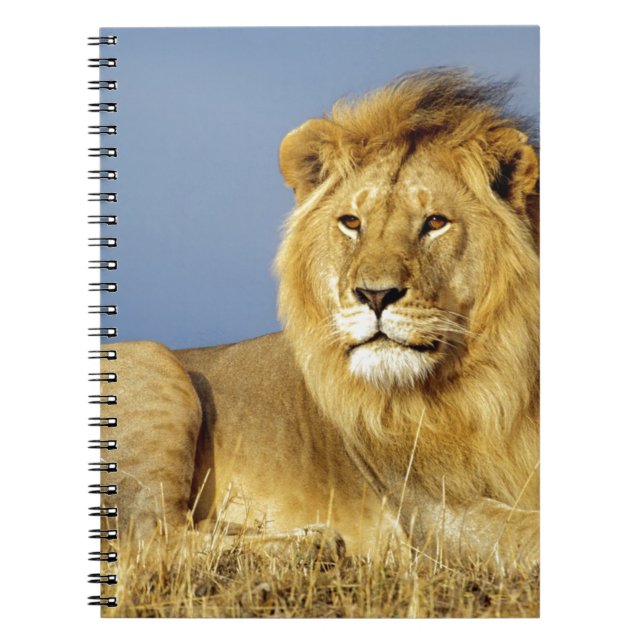 Lion Anteckningsbok (Framsidan)