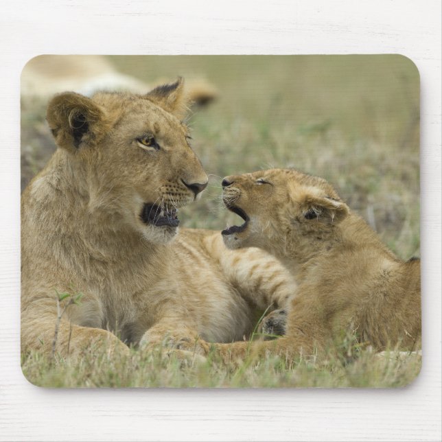 Lion Brothers Musmatta (Framsidan)