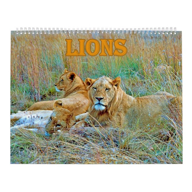 lion  kalender (Omslag)