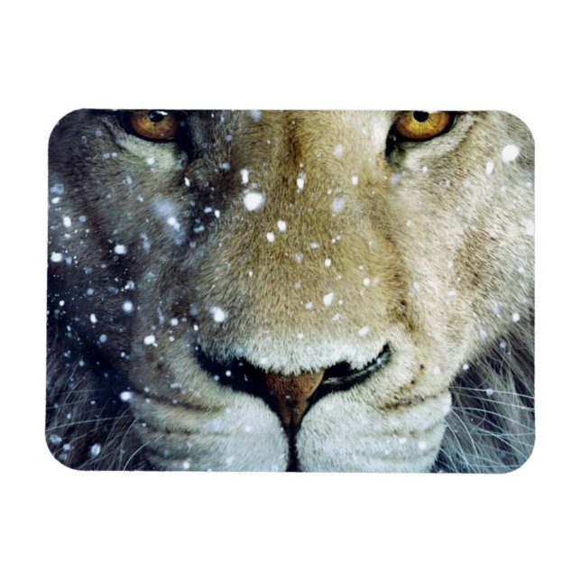 Lion of Judah - Rastafara - Reggae Rasta Magnet (Horisontell)