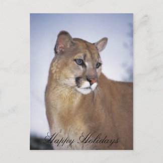 lioness2, Glad helg Vykort