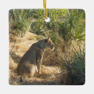 LIONESS 15 BOTSWANA JULGRANSPRYDNAD KERAMIK