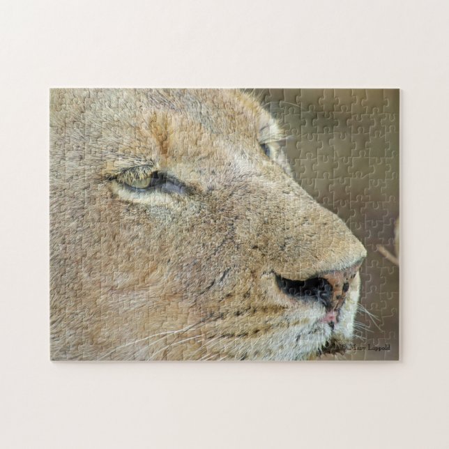 Lioness Ansikte Pussel (Horisontell)