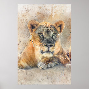 Lioness Ansikte Watercolor Jungle Animal Poster