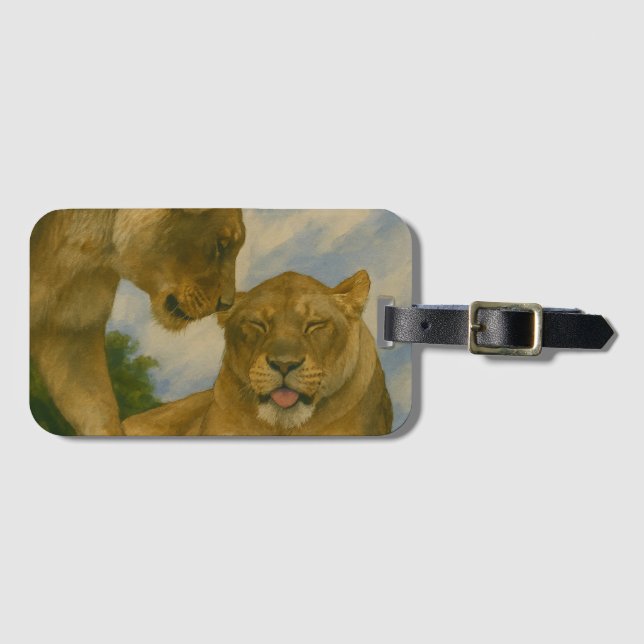 Lioness Assionship in Golden Light Bagagebricka (Framsida horisontal)
