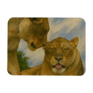 Lioness Assionship in Golden Light Magnet