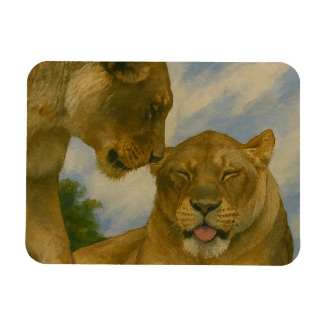 Lioness Assionship in Golden Light Magnet (Horisontell)