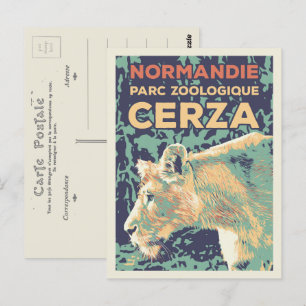 Lioness, Cerza Zoological Park i Normandy Frankrik Vykort