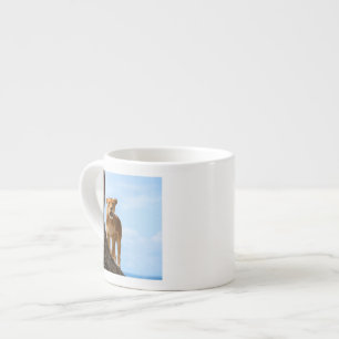 Lioness Espressomugg