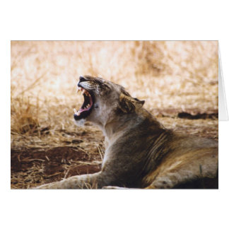 Lioness Hälsningskort