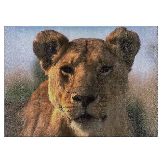 Lioness Lejona Älskare (Framsidan)