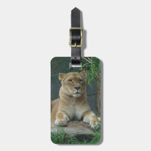 Lioness Luggage Tag Bagagebricka