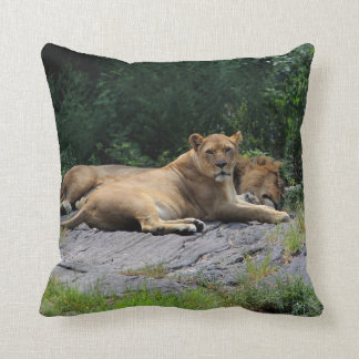 Lioness med att sova det lejona fotoet kudde