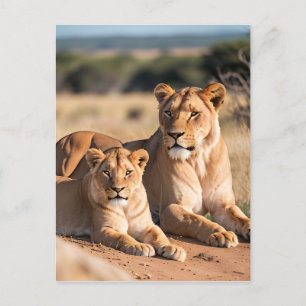 Lioness med hennes Unge Vykort