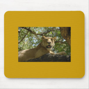 Lioness Mousepad Musmatta