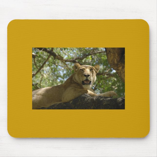 Lioness Mousepad Musmatta (Framsidan)