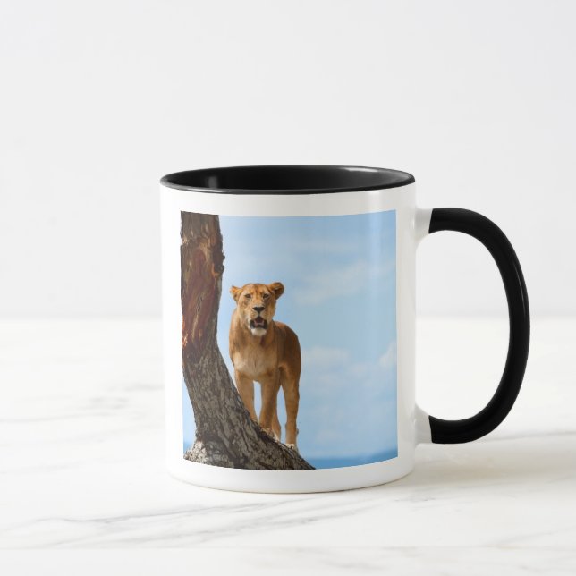 Lioness Mugg (Höger)